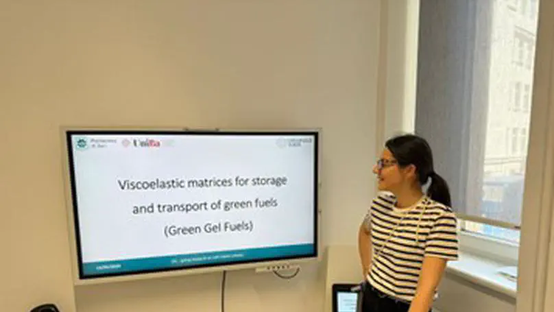 Seminar - Viscoelastic matrices for storage and transport of green fuels